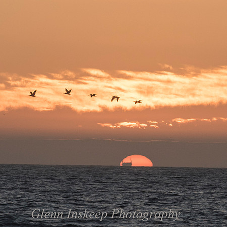 sunset newport beach photographer